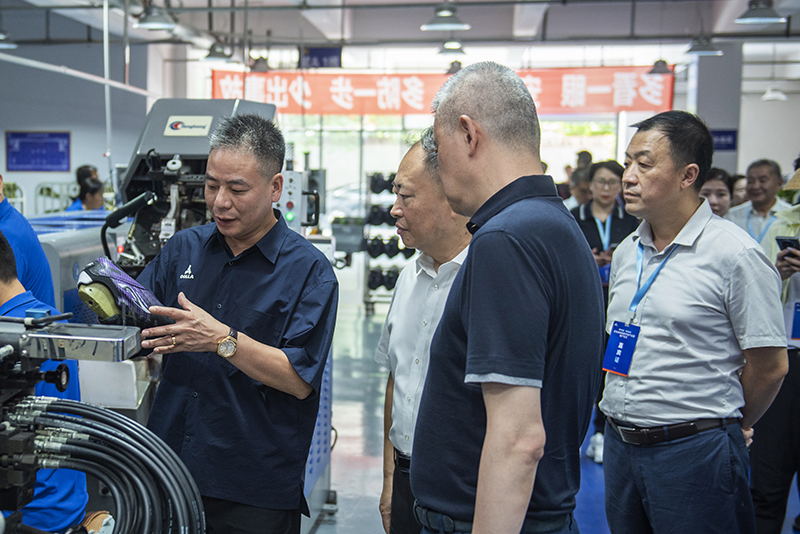 _DSC6604.jpg _DSC6604.jpg