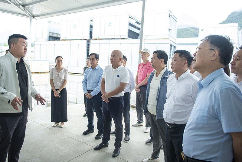 _DSC2239.jpg _DSC2239.jpg