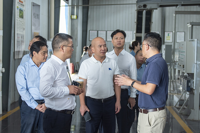 _DSC2265.jpg _DSC2265.jpg